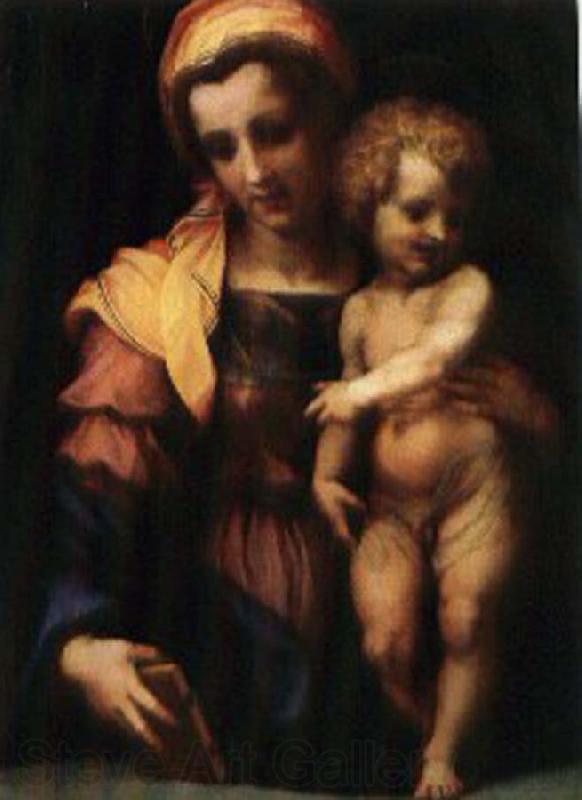 Andrea del Sarto Our Lady of subgraph Norge oil painting art